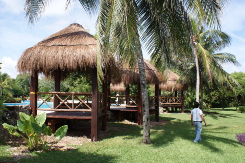 Solicitar Una Cotización