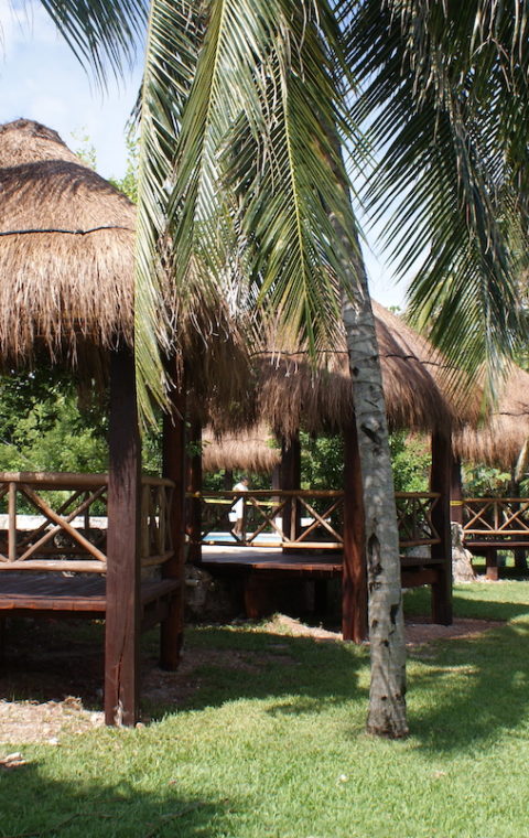 Solicitar Una Cotización