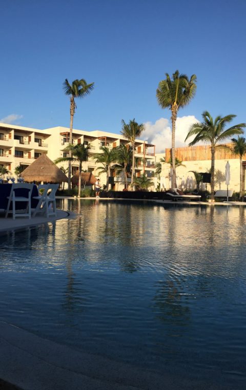 Mantenimiento y Prevención